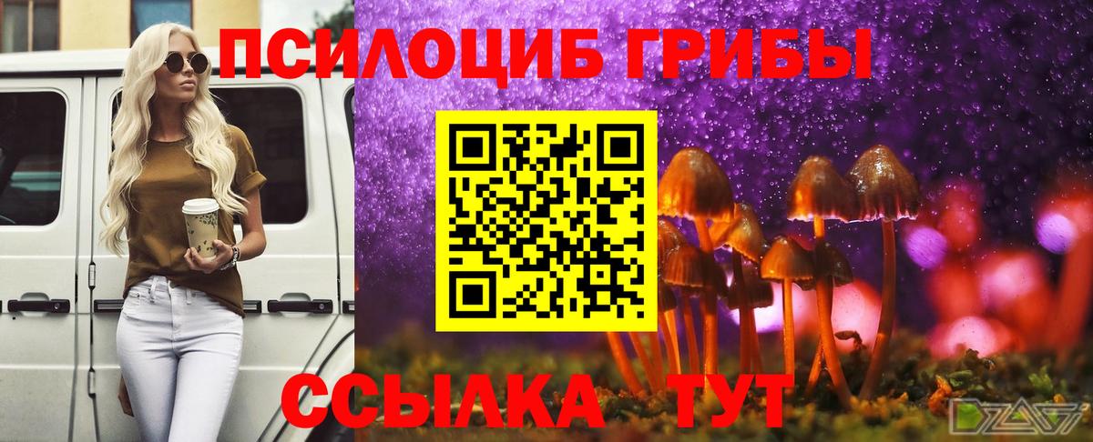 Псилоцибиновые грибы MAGIC MUSHROOMS Энгельс