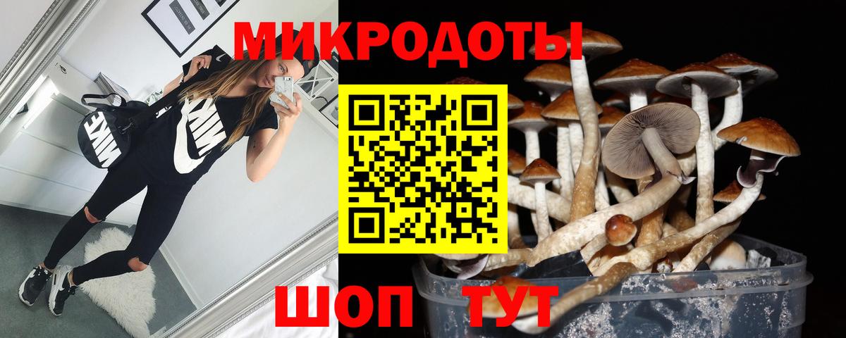 Энгельс  Галлюциногенные грибы Psilocybine cubensis  Вход с VPN 